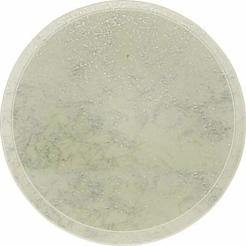 Budget ๐ Cambro 1600531 - Camtray 16" Round, Galaxy Antique Parchment Silver - Pkg Qty 12 ๐ 2 Budget ๐ Cambro 1600531 - Camtray 16" Round, Galaxy Antique Parchment Silver - Pkg Qty 12 ๐ - Image 2