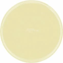 Promo ⭐ Cambro 1550536 - Camtray 15.5" Round Low, Lemon Chiffon - Pkg Qty 12 🎁 -Serveware & Tableware Sales Store B64186 01 1
