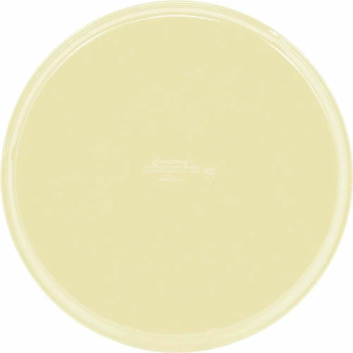 Deals ๐ Cambro 1950536 - Camtray 19.5" Round Low, Lemon Chiffon - Pkg Qty 12 ๐ 2 Deals ๐ Cambro 1950536 - Camtray 19.5" Round Low, Lemon Chiffon - Pkg Qty 12 ๐ - Image 2