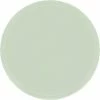 Budget 👍 Cambro 1950429 - Camtray 19.5" Round Low, Key Lime - Pkg Qty 12 ⭐